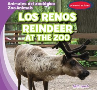 Los_renos___Reindeer_at_the_Zoo